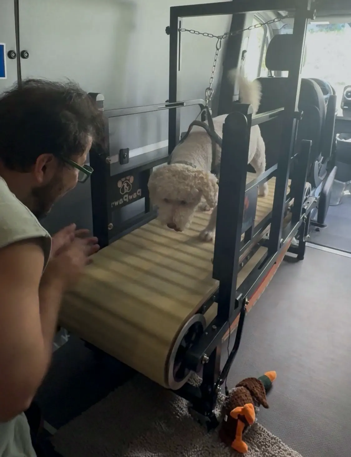 Handler kneeling beside the treadmill, encouraging a curly-coated dog on its first steps